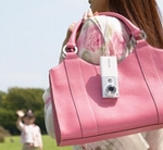 XiaoStyle